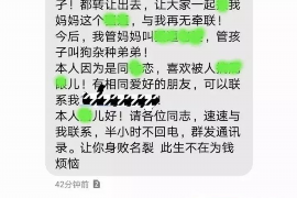 大英为什么选择专业追讨公司来处理您的债务纠纷？